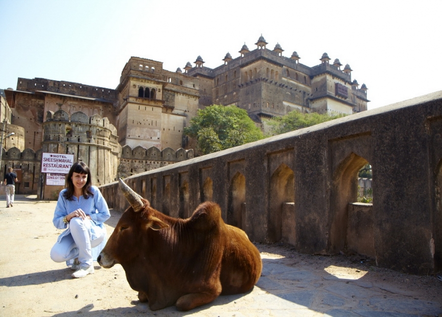 Индия. Там, где нет золотой середины. Индия. Там, где нет золотой середины.
