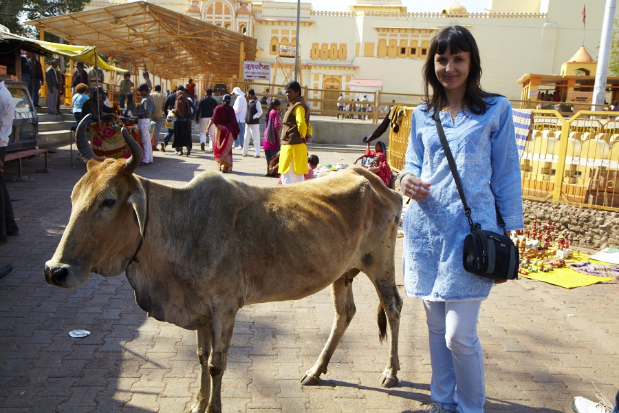 Индия. Там, где нет золотой середины. Индия. Там, где нет золотой середины.