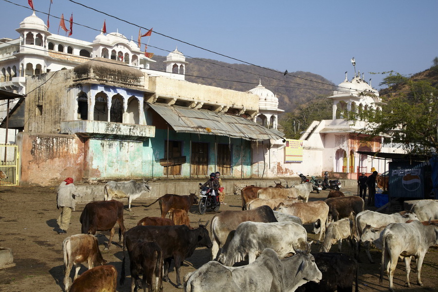 Индия. Там, где нет золотой середины. Индия. Там, где нет золотой середины.