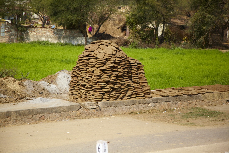 Индия. Там, где нет золотой середины. Индия. Там, где нет золотой середины.