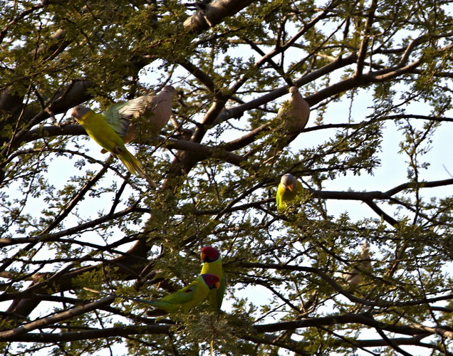 Индия. Там, где нет золотой середины. Индия. Там, где нет золотой середины.