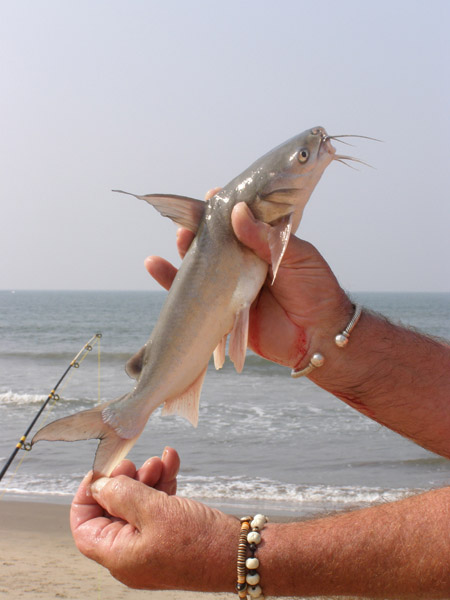 Рыбалка в Гоа  на спиннинг,донку