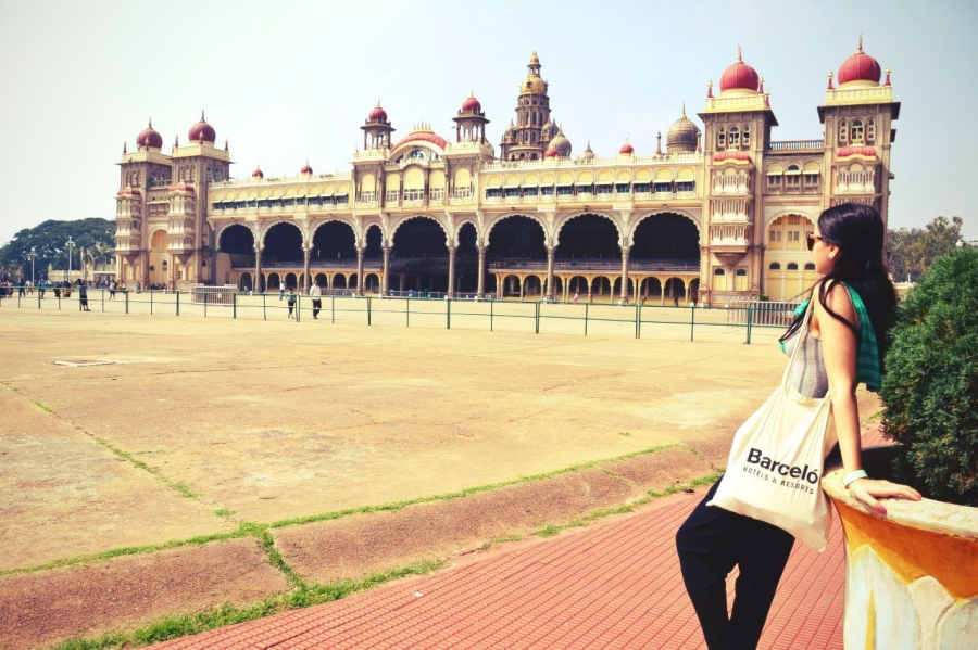 Увидеть Далай Ламу 14 и улететь из Индии с третьей попытки (мнооого фото)