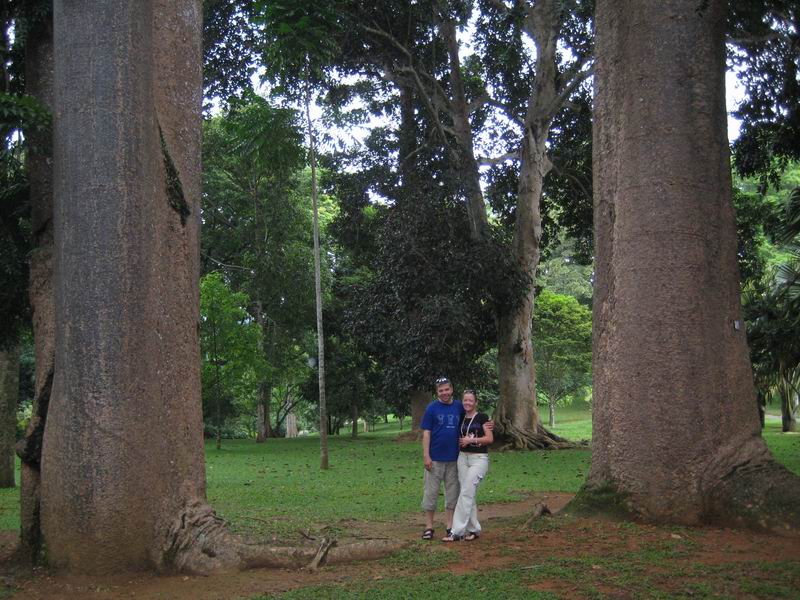 Шри Ланка + Мальдивы. Дорогами Сингальских королей! Траффик!