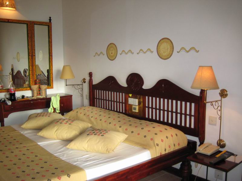 Шри Ланка + Мальдивы. Дорогами Сингальских королей! Траффик!