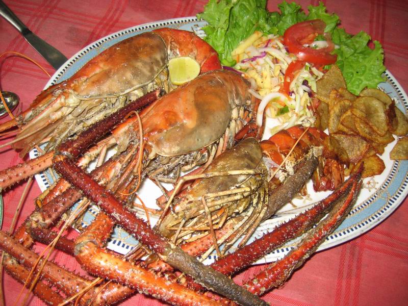 Шри Ланка + Мальдивы. Дорогами Сингальских королей! Траффик!