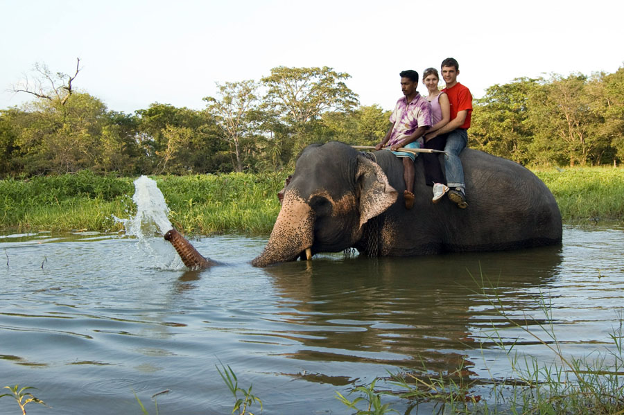 Dont Worry, Be Happy! Шри-Ланка. НГ'09. Фотоотчет. (трафик!)