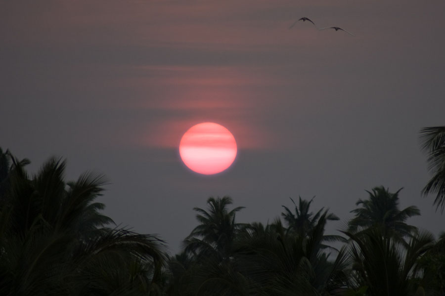 Dont Worry, Be Happy! Шри-Ланка. НГ'09. Фотоотчет. (трафик!)