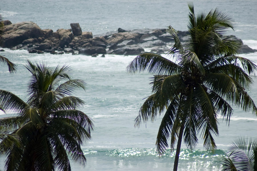 Dont Worry, Be Happy! Шри-Ланка. НГ'09. Фотоотчет. (трафик!)