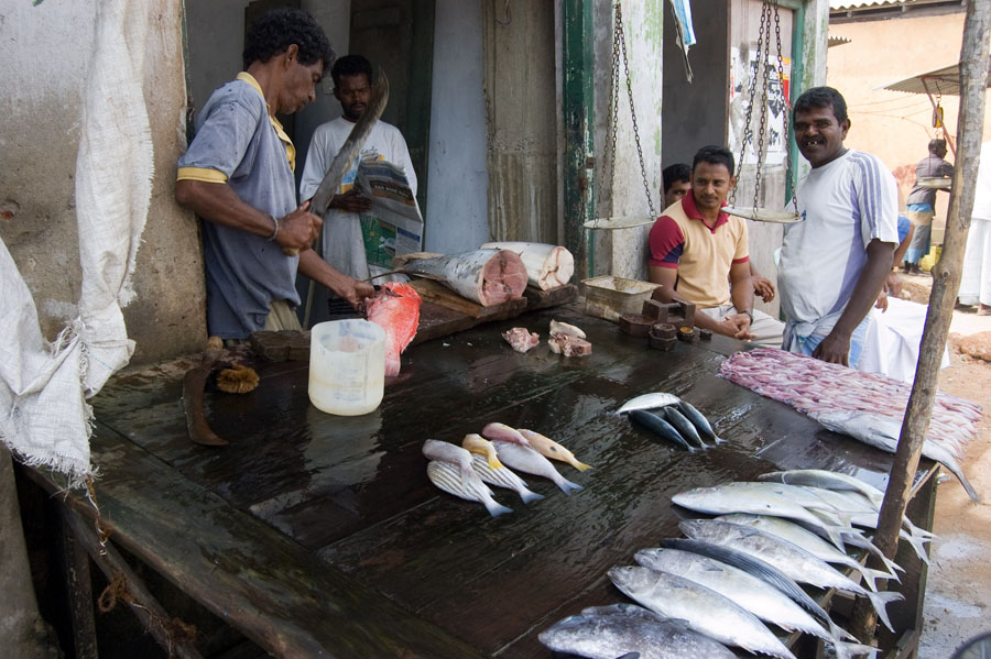 Dont Worry, Be Happy! Шри-Ланка. НГ'09. Фотоотчет. (трафик!)