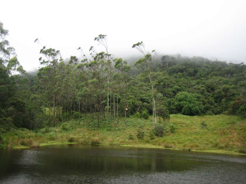 Шри-Ланка (10/07/2008 – 25/07/2008)