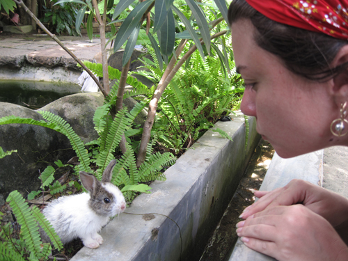 Шри Ланка и немножко Мальдив