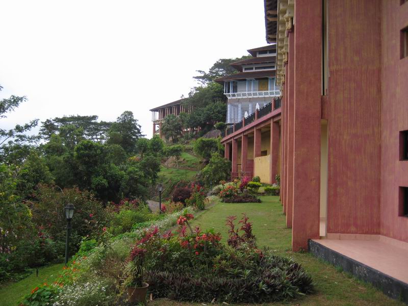 Шри Ланка + Мальдивы. Дорогами Сингальских королей! Траффик!