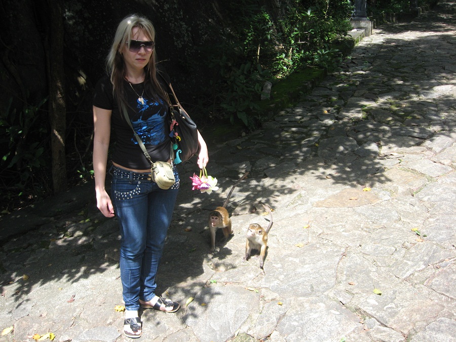 Шри Ланка 2009 или ребятам о зверятах.