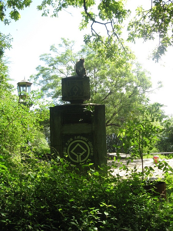 Шри Ланка 2009 или ребятам о зверятах.