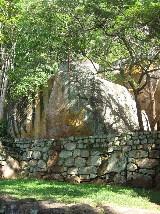 Шри Ланка 2009 или ребятам о зверятах.