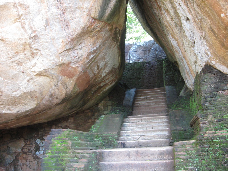 Шри Ланка 2009 или ребятам о зверятах.