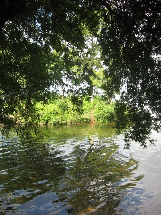 Шри Ланка 2009 или ребятам о зверятах.