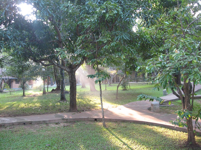 Шри Ланка 2009 или ребятам о зверятах.