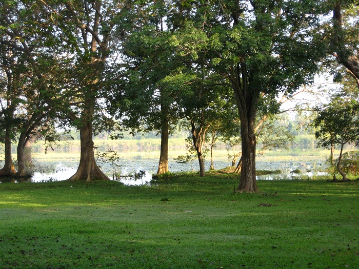 Шри Ланка 2009 или ребятам о зверятах.