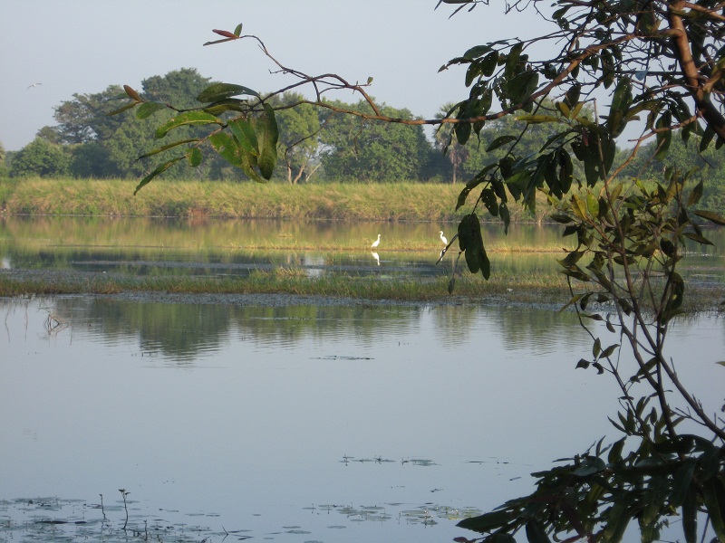 Шри Ланка 2009 или ребятам о зверятах.