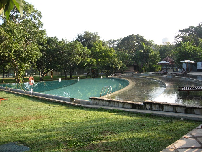 Шри Ланка 2009 или ребятам о зверятах.