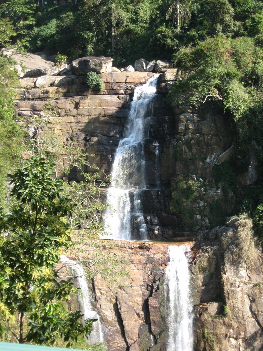 Шри Ланка 2009 или ребятам о зверятах.