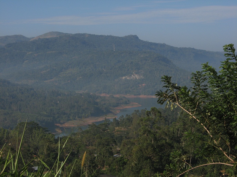 Шри Ланка 2009 или ребятам о зверятах.