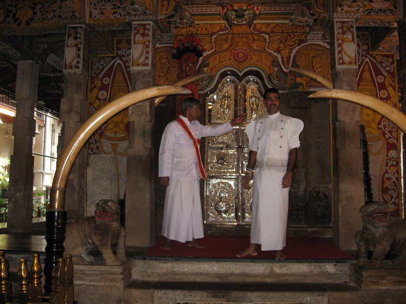 Шри Ланка 2009 или ребятам о зверятах.