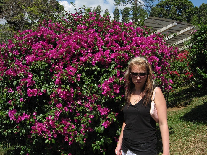 Шри Ланка 2009 или ребятам о зверятах.