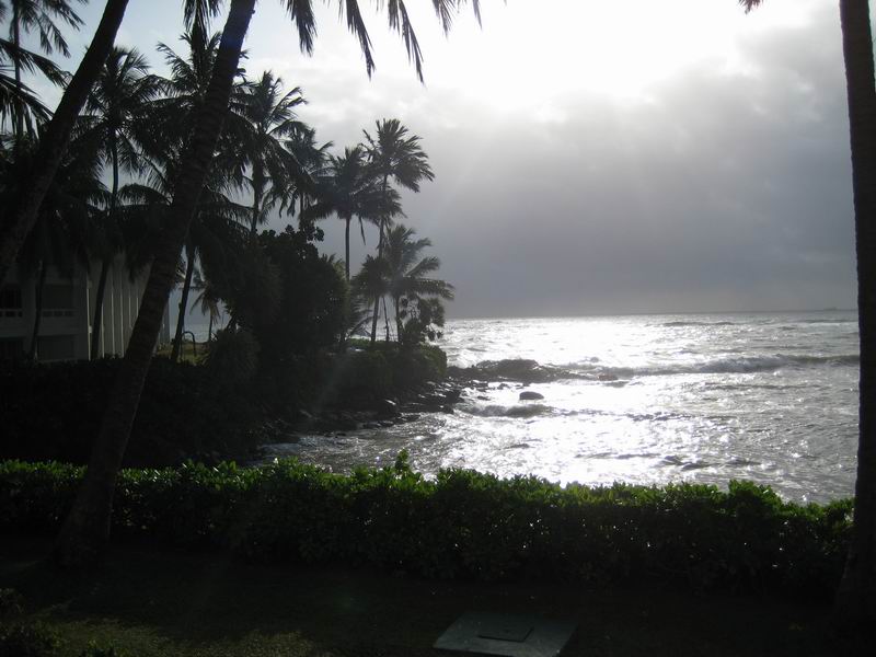 Шри Ланка + Мальдивы. Дорогами Сингальских королей! Траффик!