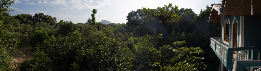 Dont Worry, Be Happy! Шри-Ланка. НГ'09. Фотоотчет. (трафик!)