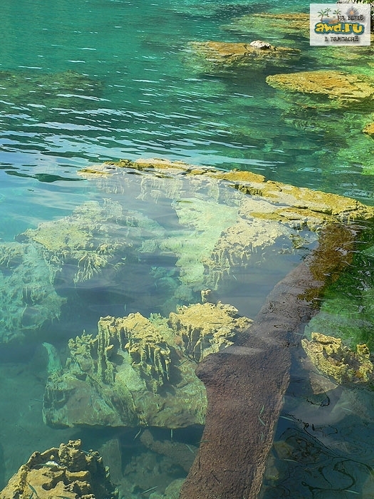 Филипинны, впечатления от недавнего путешествия