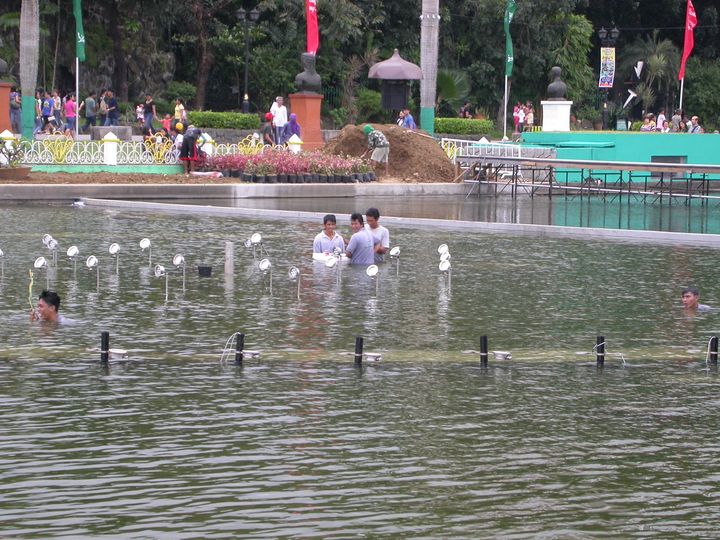 41 день Филиппины и Палау глазами дайвера (27.11-7.01)