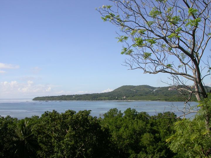 41 день Филиппины и Палау глазами дайвера (27.11-7.01)