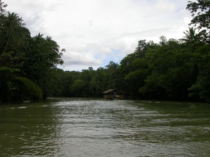 41 день Филиппины и Палау глазами дайвера (27.11-7.01)