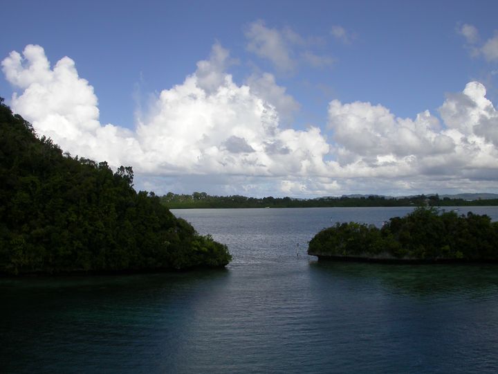 41 день Филиппины и Палау глазами дайвера (27.11-7.01)