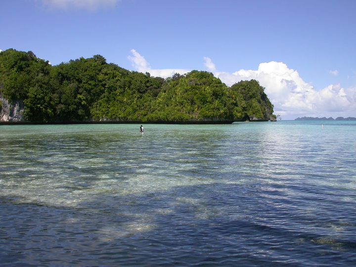 41 день Филиппины и Палау глазами дайвера (27.11-7.01)