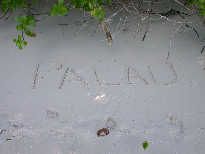 41 день Филиппины и Палау глазами дайвера (27.11-7.01)