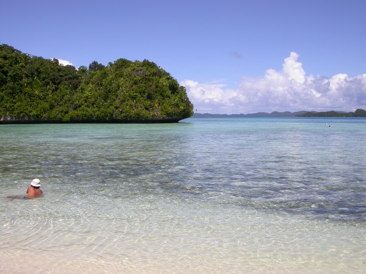 41 день Филиппины и Палау глазами дайвера (27.11-7.01)