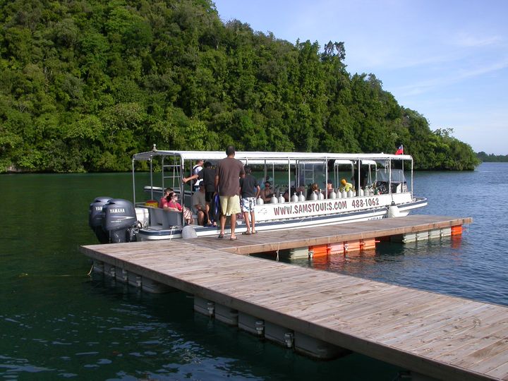 41 день Филиппины и Палау глазами дайвера (27.11-7.01)