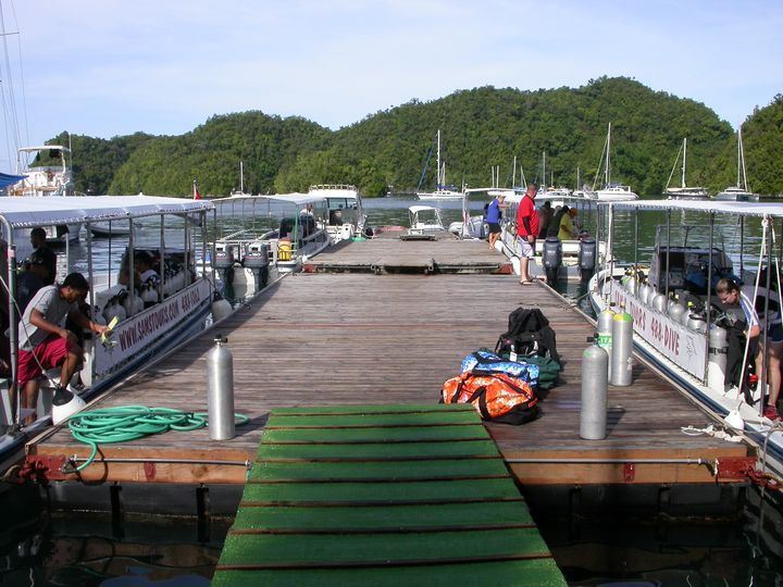 41 день Филиппины и Палау глазами дайвера (27.11-7.01)