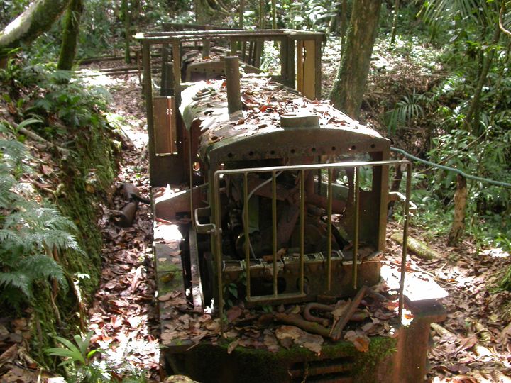 41 день Филиппины и Палау глазами дайвера (27.11-7.01)