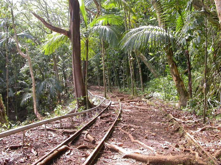 41 день Филиппины и Палау глазами дайвера (27.11-7.01)