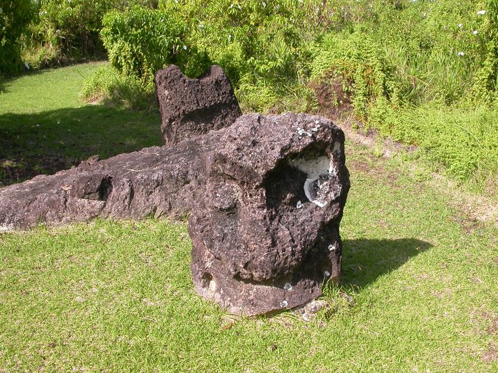 41 день Филиппины и Палау глазами дайвера (27.11-7.01)