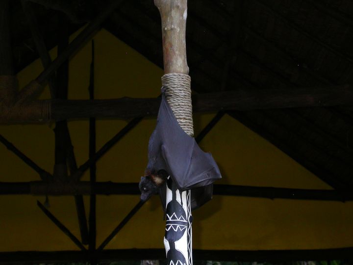 41 день Филиппины и Палау глазами дайвера (27.11-7.01)