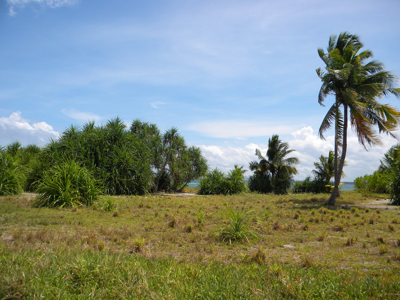 Бохольский  Уик-энд в мае. Филиппины (фототрафик)