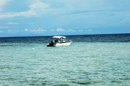 Сикихор: без хилеров, но с Маугли…