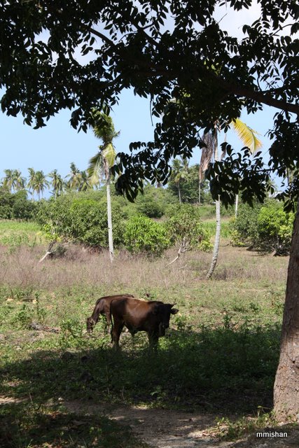 Остров Bantanyan, Филиппины.
