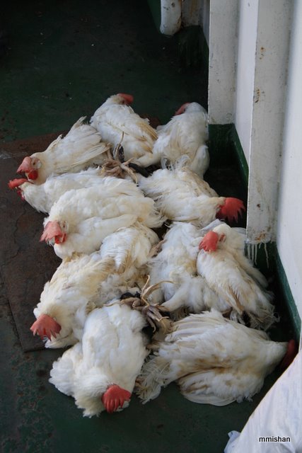 Остров Bantanyan, Филиппины.